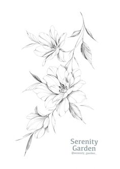 a black and white drawing of flowers on a white background with the words serenity garden