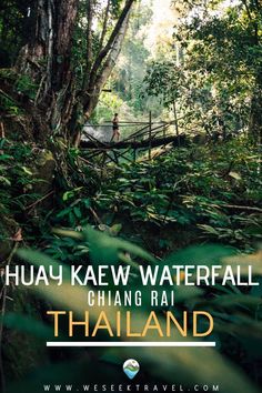 a person walking across a bridge in the jungle