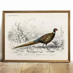 a drawing of a pheasant standing in front of a wooden frame on the floor