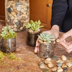 succulents in glass jars add pebbles or moss Pots Diy, Plant Based Soups