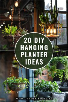 a close up of a bunch of plants hanging from a ceiling Hanging Planter Ideas, Hanging Planters Outdoor, Hang Plants, Florida Flowers, Diy Planters Outdoor, Indoor Plant Hangers, Hanging Plants Diy, Planters Ideas, Diy Hanging Planter