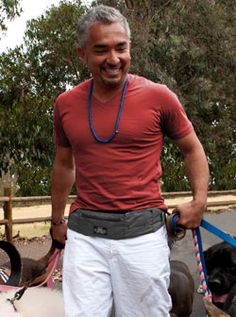 a man standing next to two dogs on leashes