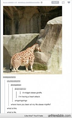 the giraffe is standing in front of a rock wall and looking at something