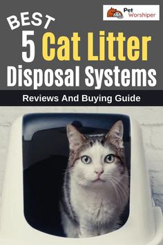 cat litter box ideas Kitchen Trash, Dog Ideas, Cat Litter Box, Cool Pets