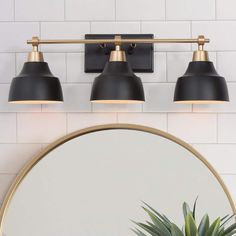 three lights on the wall above a mirror and potted plant in front of it