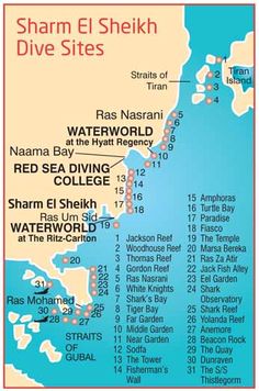 a map showing the location of sharm el sheikh dive sites in naama bay