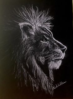 a black and white drawing of a lion