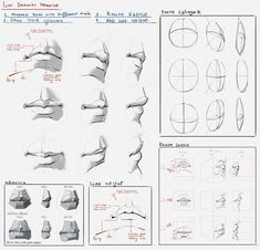 a drawing sheet with different angles and shapes for the human head, neck, and arm