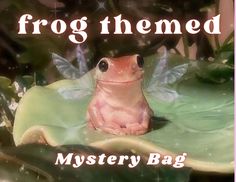 a frog sitting on top of a green leaf covered ground with the words frog themed mystery bag