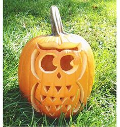 a carved pumpkin sitting in the grass with its eyes open and an owl on it's face