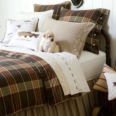 a dog sitting on top of a bed in a bedroom next to a deer head