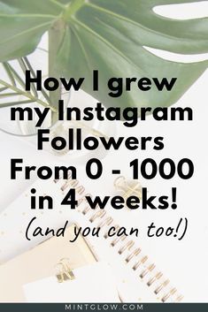 a notebook with the words how i grew my instagram followers from 0 - 100 in 4 weeks and you can too