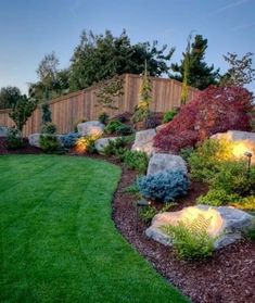 a landscaped yard with rocks and grass