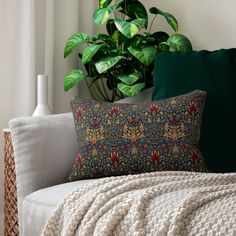 a white couch sitting next to a green plant