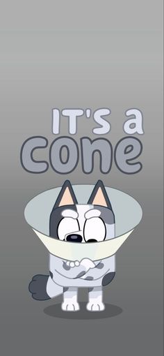 a cartoon cat wearing a hat with the words it's a cone