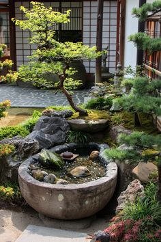 a garden with rocks and plants in it