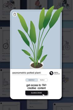 an image of a plant in a pot on the app store's facebook page