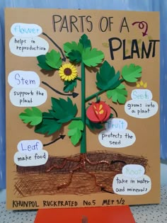 the parts of a plant made out of cardboard