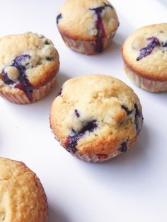 several blueberry muffins on a white plate