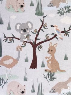 an animal themed wallpaper with koalas, kangaroos, and other animals