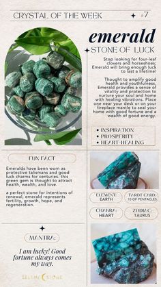 This stone represents renewal, growth, hope, and regeneration.  Read the blog for more on this heart-healing, prosperous crystal. Emerald Crystal Aesthetic, Howlite Crystal Meaning, Emerald Symbolism, Raw Emerald Crystal, Crystal Magick, Nurture Your Soul