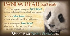 a panda bear spirit guide with an image of it's face and the words, what is my spirit animal?