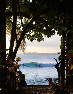 a person sitting on a bench watching a wave in the ocean from behind some trees