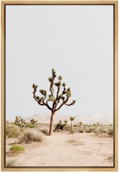 a desert scene with a cactus tree in the foreground