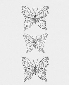 three butterflies are shown in black and white, one is drawn on the back side