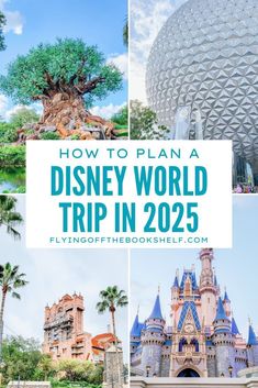 how to plan a disney world trip in 205