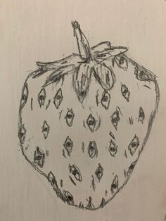 a drawing of a strawberries on a piece of paper that is drawn with pencil