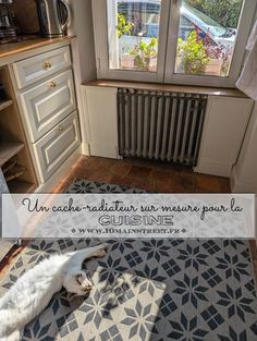 a white cat laying on top of a rug in front of a window next to a radiator