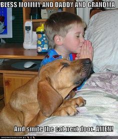 a young boy is laying in bed with his dog and giving him a kiss on the nose