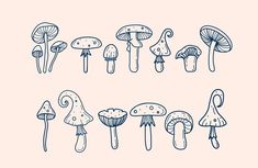 hand drawn mushrooms on a pink background