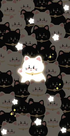 many black and white cats with glowing stars in the sky, all looking different directions