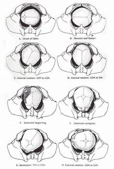 the diagram shows different views of an eye and how it is used to see what's inside