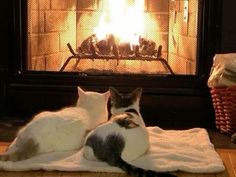 two cats laying on a blanket in front of a fire place with the fireplace lit