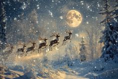 santa's sleigh flying through the night sky with reindeers on it