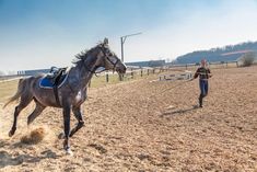 a woman is leading a horse around the track