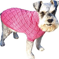 a small dog wearing a pink sweater