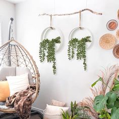 a living room filled with lots of plants and hanging baskets on the wall above it