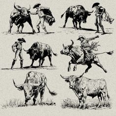 an image of cowboys and cows in the wild set 2 drawing by hand with ink on paper