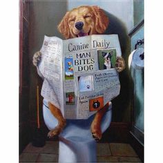 a dog sitting on top of a toilet reading a newspaper