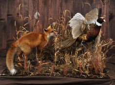 an image of a fox and a bird in the grass with another animal behind it