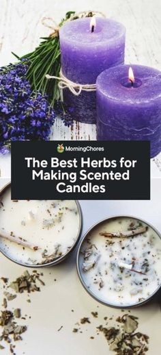 the best herbs for making scented candles