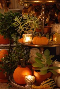 three tiered tray filled with pumpkins and plants