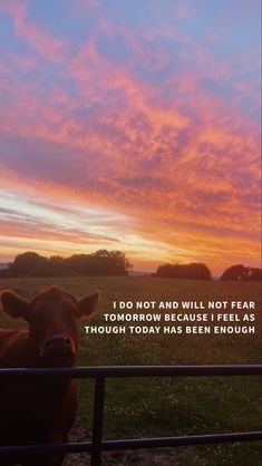 a brown cow standing in front of a fence with the sun setting behind it and a pink sky