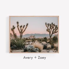 a desert scene with cacti in the foreground and an inscription that reads avery + zooy