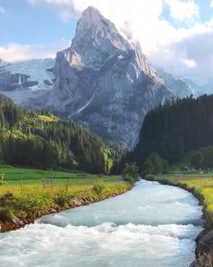 a river running through a lush green valley