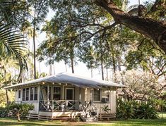 a small white house in the middle of some trees and grass with palm trees around it